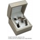 Womens Stainless Steel Antares Watch (with Interchangeable straps).